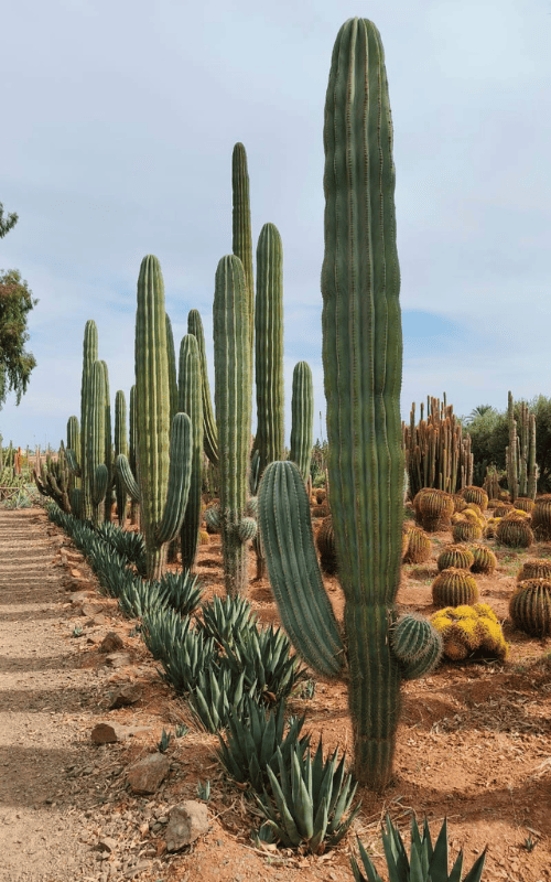 Voyage sur mesure au Maroc